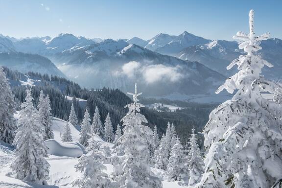 Winterbild Tannheimer Tal
